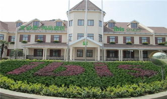 3. 亲子活动， 精彩纷呈