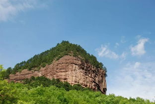 第一重震撼：当现代科技遇上原始野性