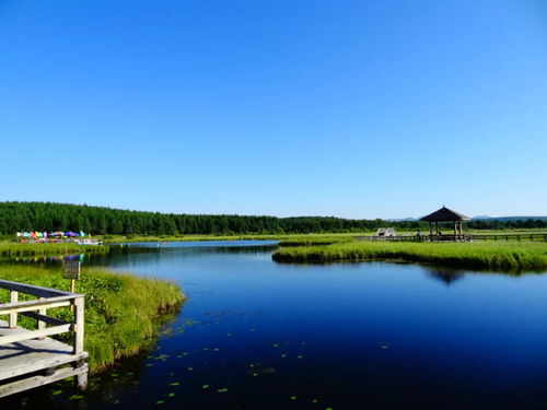 3. 湖泊的柔情 (和臭鱼的味道)