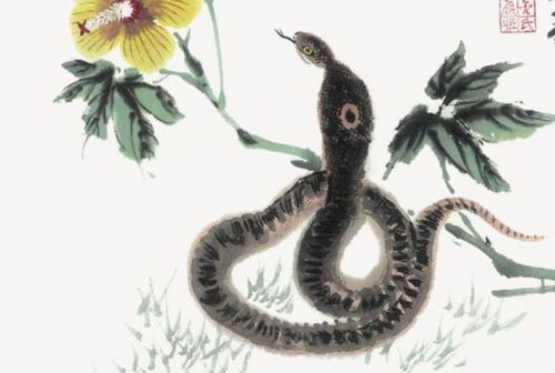 属蛇人2026本命年健康运势如何？属蛇男人本命年送什么礼物最有意义？