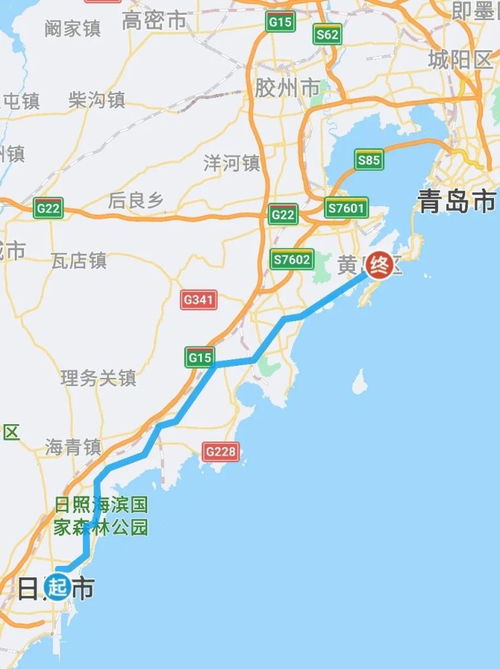 避坑指南：这些路况， 导航不会告诉你