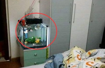 风水知识九种不祥之物千万不Neng放家里360星座网,风水凶器不宜放家里