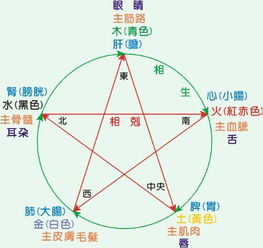 请问如何解读生辰八字中的五行相生相克关系？