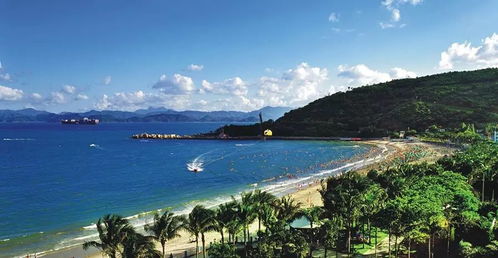 窗外风景：大型猜谜现场