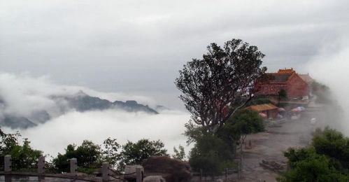 惯与选择无极
