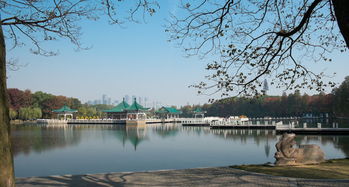 听涛听涛到底听个啥