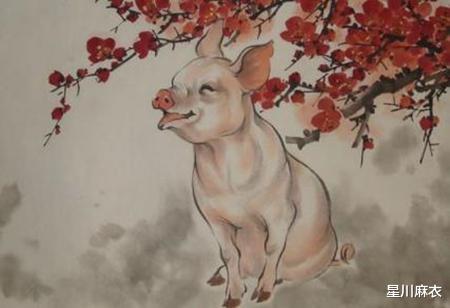 一、 乱说——属虎和属猪今年破太岁的“天大乱”