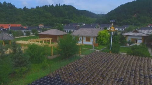 1. 地道农家菜：美味可口？(重油重盐！)