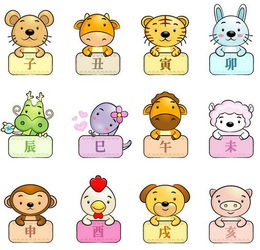 66年属马女性财运如何？运势图揭示了哪些财富秘密？