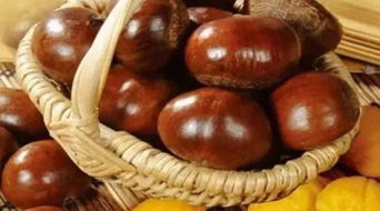 算命说几月份怀孕生男孩准吗？黄芪党参枳壳能否助生男孩真的灵验？