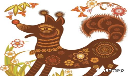 生肖狗的那些事儿：忠诚？憨厚？还是有点小狡猾？