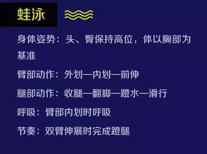 脑子里乱七八糟的那些事儿