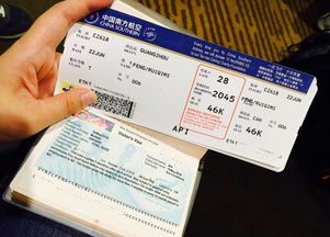 签证机票的魔幻现实