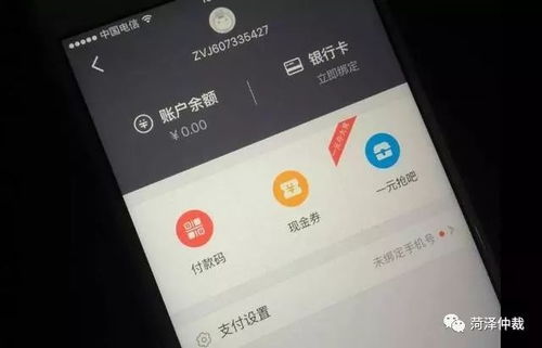 双鸭体验：一场独特的味觉冒险