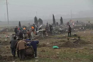 活人影子千万别进坑