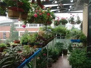 阳台花园风水禁忌,阳台花园景观