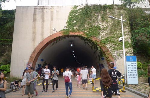 一、 陈嘉庚的“花式命名”