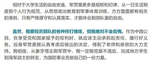 噪音插入——随意拼接的较小段落