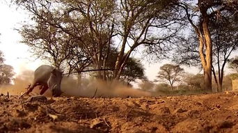 告别平庸，拥抱失控