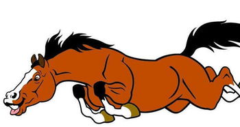 90年7月属马女和90年5月属马男能配对结婚吗？