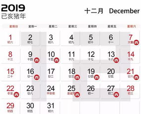 第二招：看五行，补命理