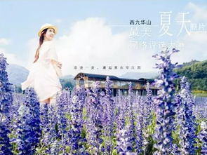 一、邂逅薰衣草，夏日里的意外惊喜