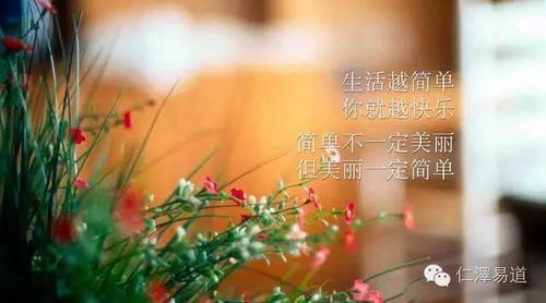 震惊！你的肩膀竟然藏着这么多不为人知的秘密！