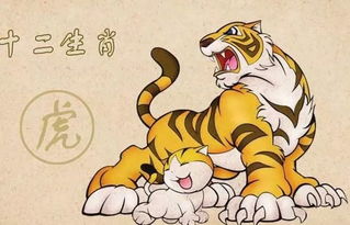 五、个性化定制：打造独一无二的名字