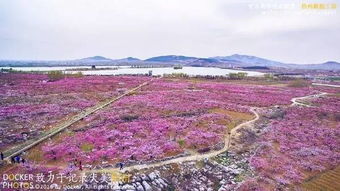 三、节假日涨价——所谓“高峰期”，其实就是人心里的恐慌感！