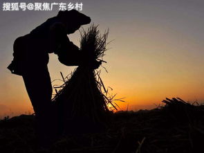 夜幕降临， 鬼影更甚