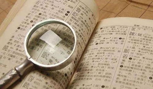 名字心理学