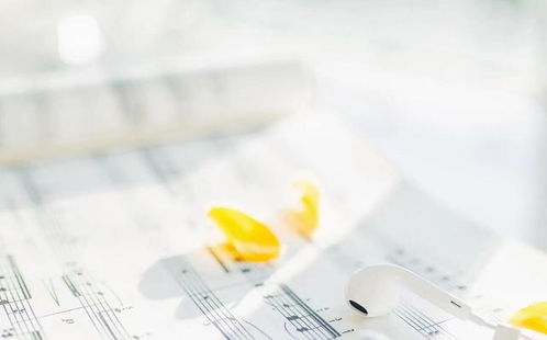 四、真人血泪教训