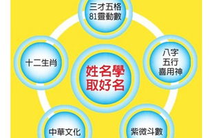 沉重点关注：人格、 总格与横财的关键点