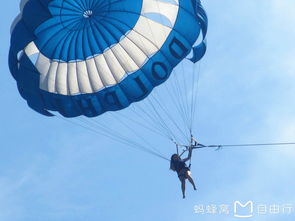 现场实况：在嘈杂中寻找你的秩序