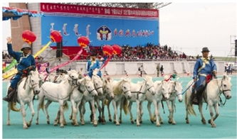 “揭秘民族节日风情，探寻多彩民族习俗”