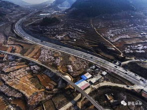 金银山隧道入口——2025年要炸裂的旅游新地标