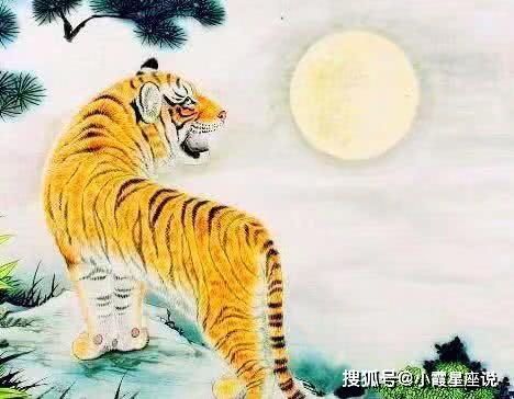 虎年吉凶生肖属相是什么？生肖属虎年龄具体指哪些年份？