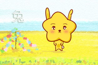 属兔19年7月和2027年感情运势分别如何？
