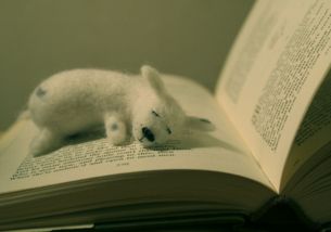 属猴的人若生于丑时，那么出生在哪个月份会特别不吉利呢？