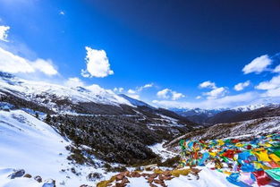 玉龙雪山，清凉圣地的守护者