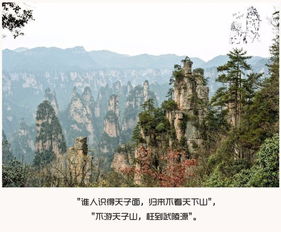 青春的里程碑：张家界， 每座山都有故事