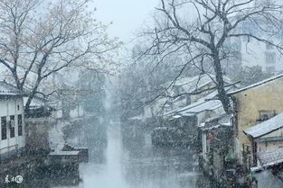 古代墓穴风水书中，八字中墓库的含义是什么？
