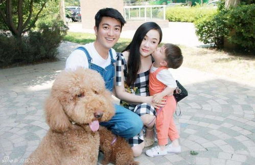 妻子才是家中好风水小说,妻子才是家中好风水小说