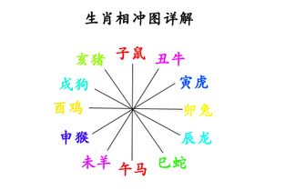 三、星座&生肖—到底谁和宸最配？（随手列举）