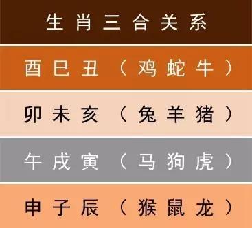 属相与楼层搭配，住哪一层楼最吉利？