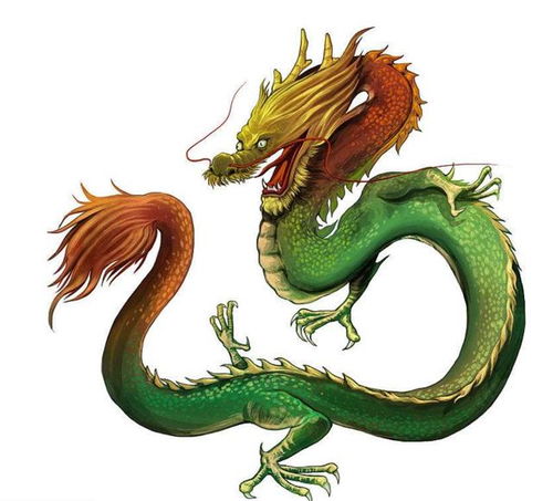 属龙人的感情优势