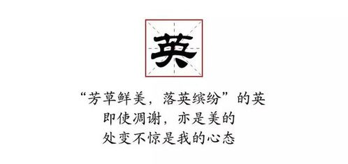瑶字旁里藏着哪些？