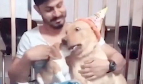 大狗过日子的视频大全高清播放哪里可以找到？