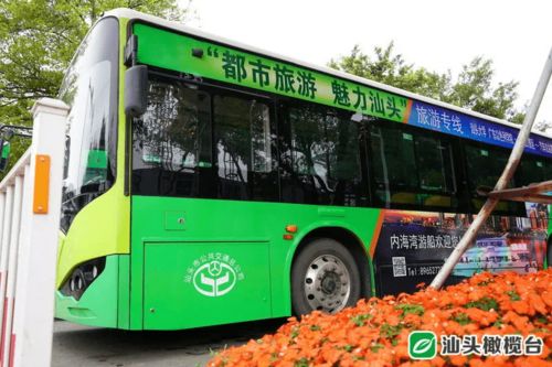 一、 带你去东营的“红海”——感受黄河之滨的炎热情