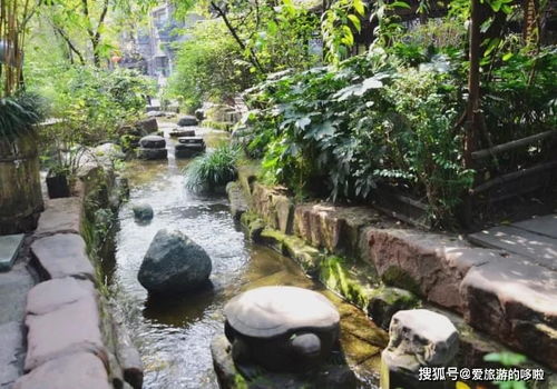 古镇崭新场： 古朴与现代化的交融